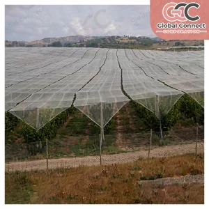 Anti-Hail Nets