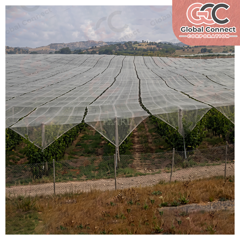 Anti-Hail Nets