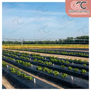 Black Mulch Films