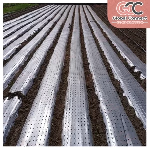 Silver Black Mulch Films